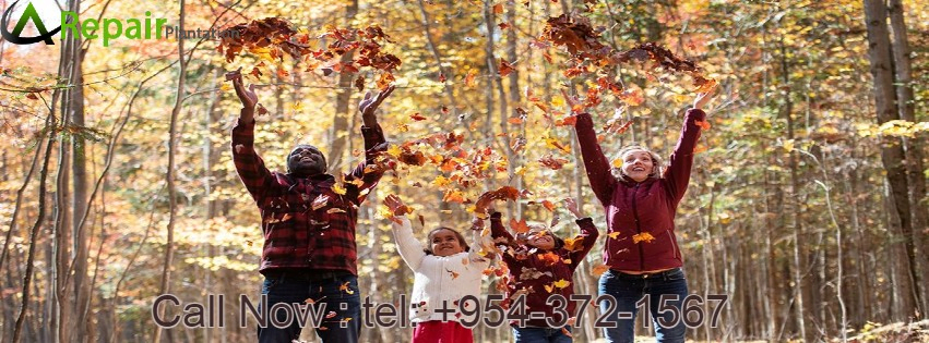 TOP FALL ACTIVITIES TO DO IN FALL! CHECK THEM OUT